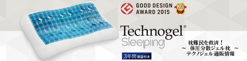 �e�N�m�W�F���̖����T�C�g